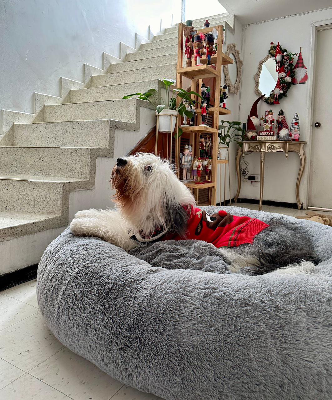 ⚡ Cama Redonda Antiestrés ESTÁNDAR